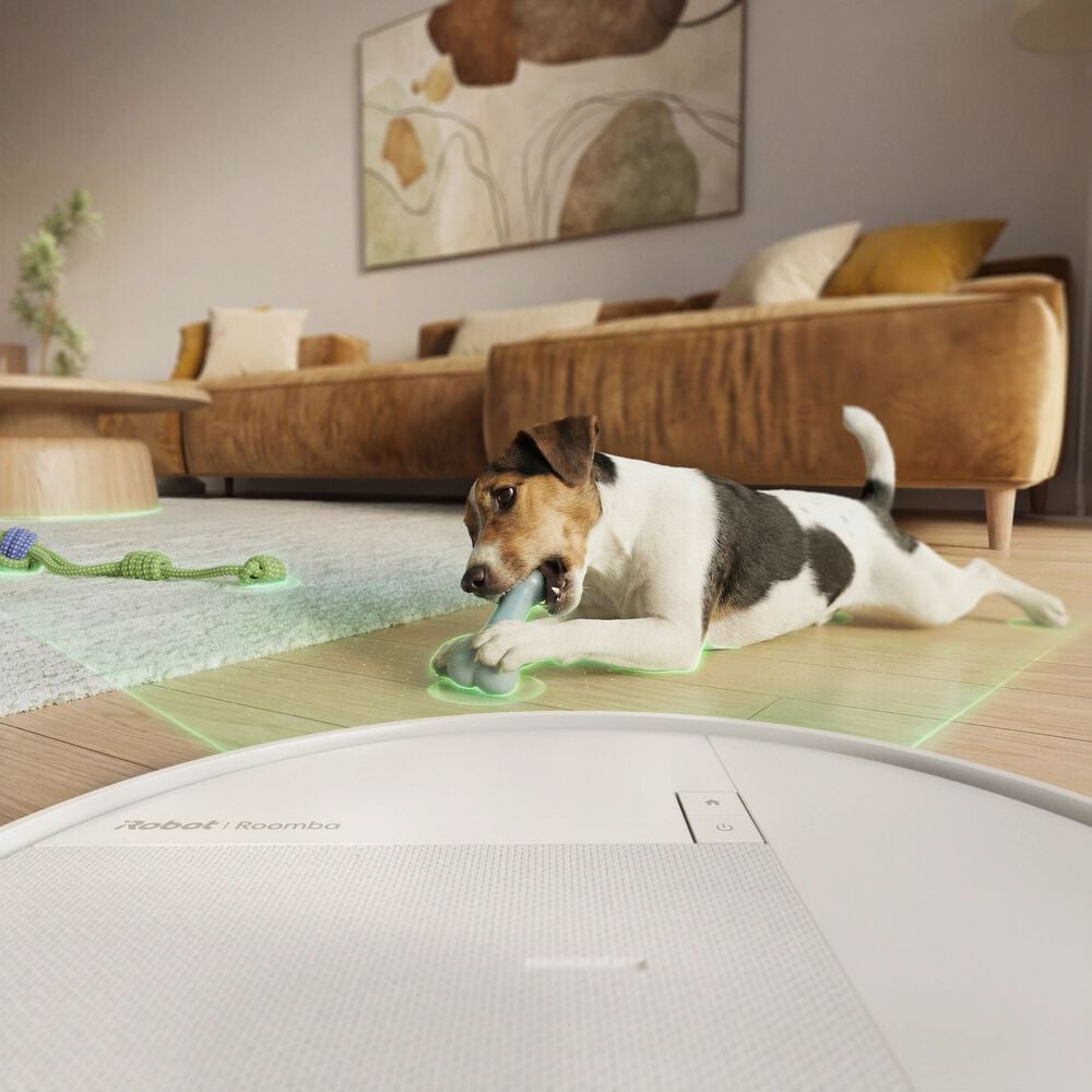 Menos enredos, m&aacute;s limpieza