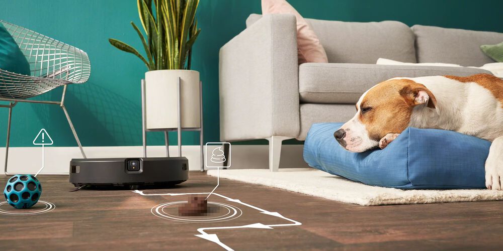 Roomba Combo with dog