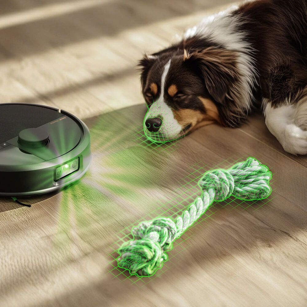 Avoids their favourite toys